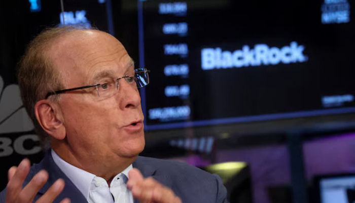 BlackRock in Talks with Govts about Investments to Power AI