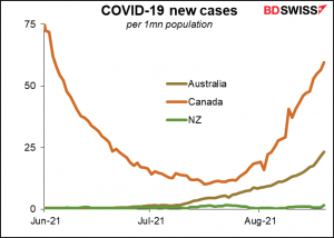 COVID-19 new cases