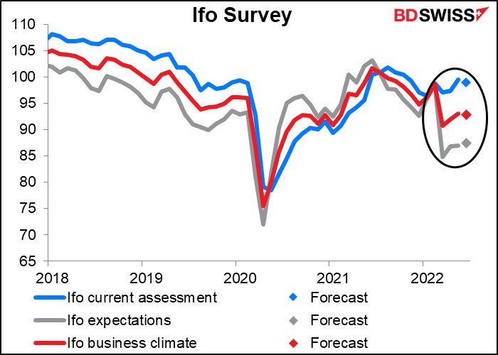 Ifo survey