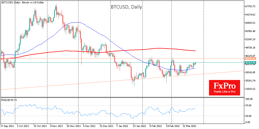 BTC is Trying to Gain a Foothold above $43K