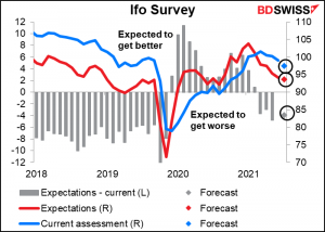 Ifo survey