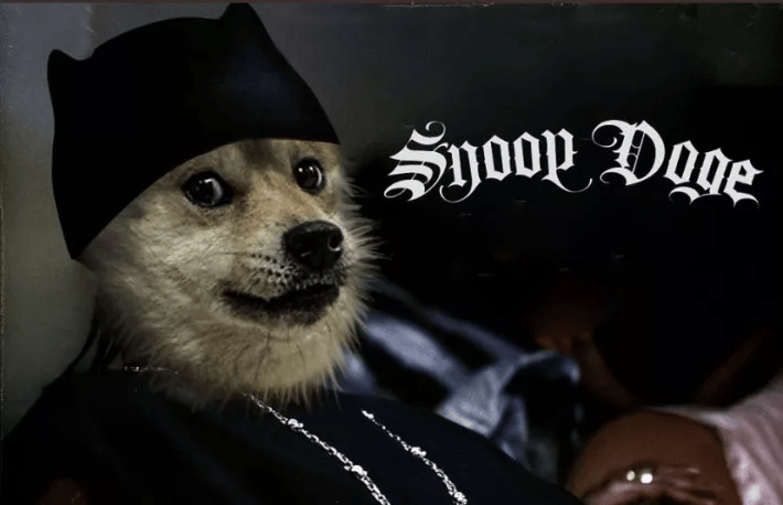 Dogecoin Smokes Its All-Time High After Snoop Dogg Becomes Snoop DOGE