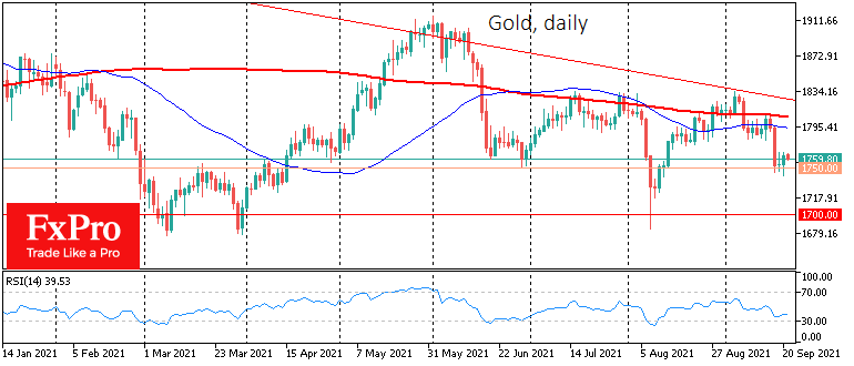 Gold’s sudden glow in a falling market