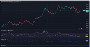 Expert Technical & Fundamental Insights – 01.11.2024