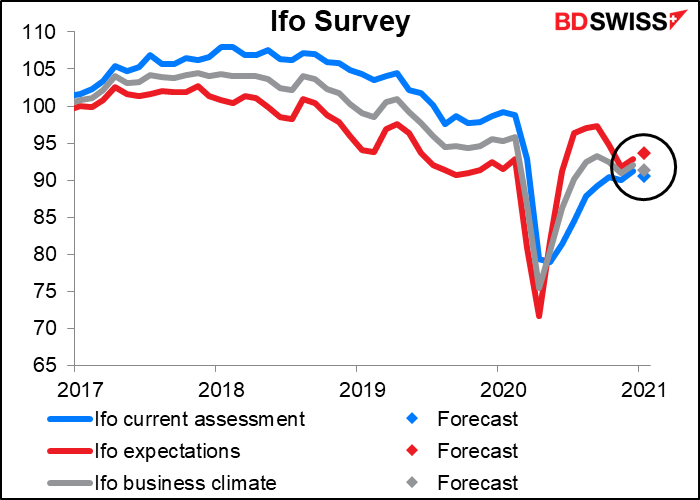 Ifo survey