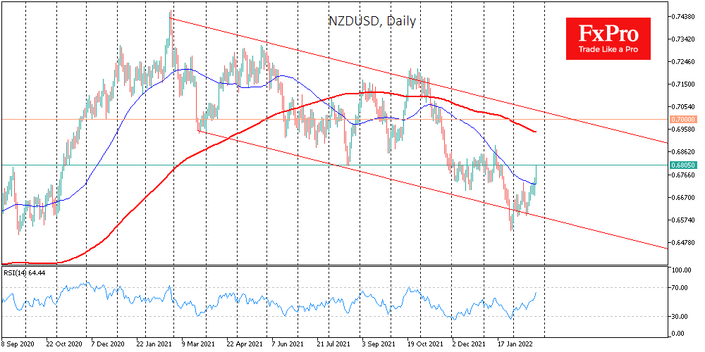 NZDUSD: Kiwi Bird Learns to Fly