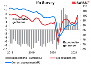 Ifo Survey