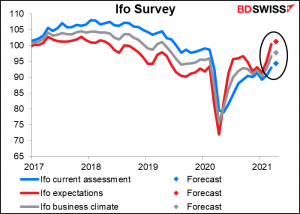 Ifo Survey