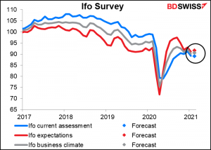 Ifo survey