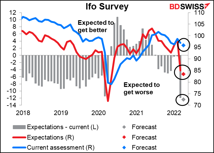 Ifo Survey