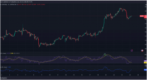 Expert Technical & Fundamental Insights – 24.10.2024