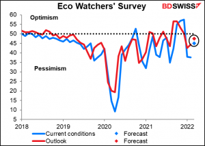 Eco Watcher’s Survey