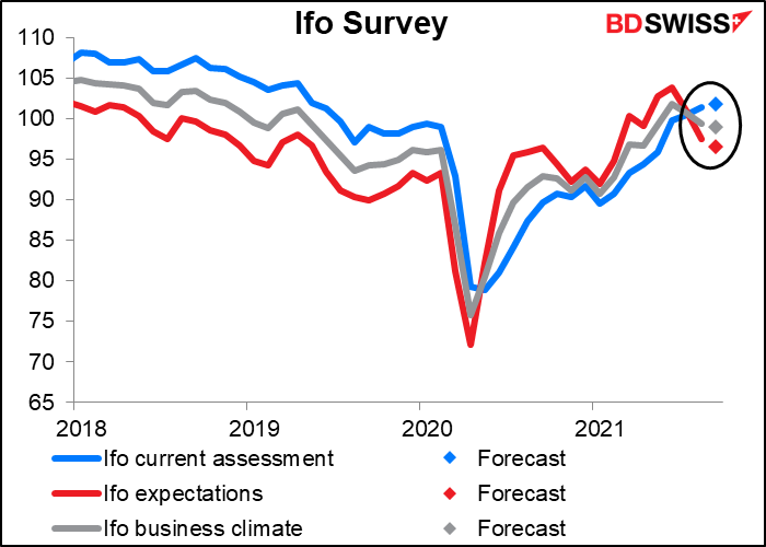 Ifo survey