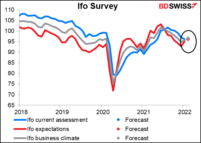 Ifo Survey