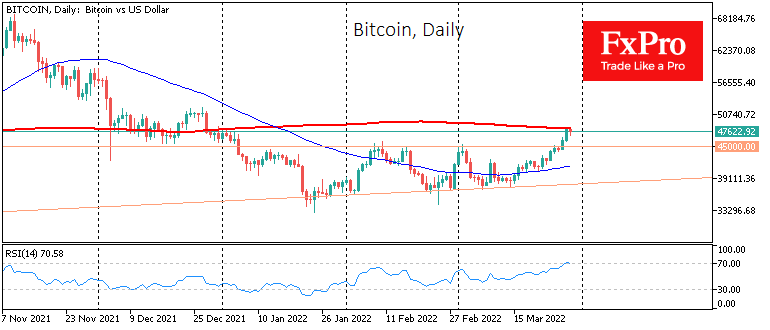 Bitcoin as a Leading Indicator of Risk on