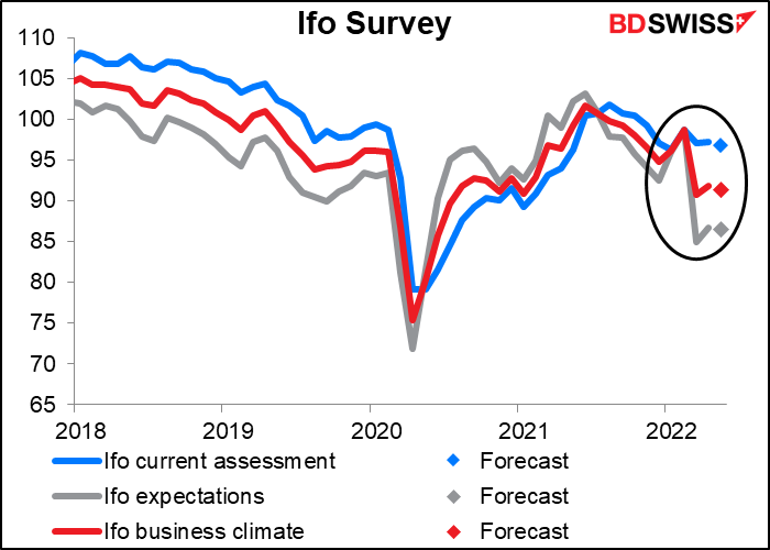 Ifo Survey
