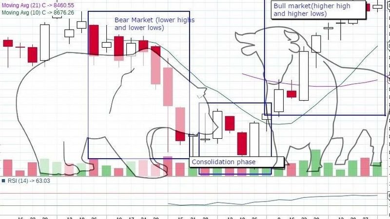 bulls and bears who are them 1502