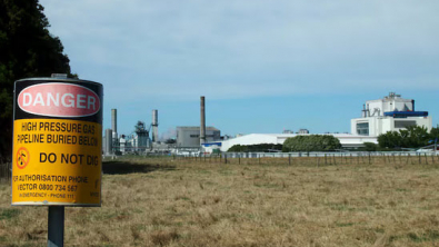 NZ Manufacturing Index Hits 5-Year High on Confidence