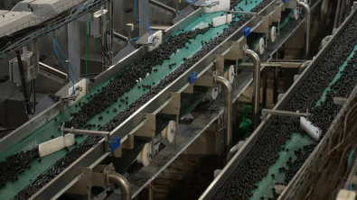 Spain's April Factory Prices Up 8.3%, Fastest since Dec 2022