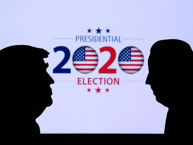 Biden Victory, Divided Government