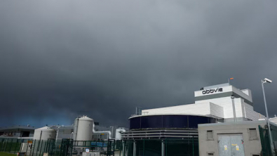 Irish Foreign Multinational Employment Climbs in 2025 Despite Trump Tariffs