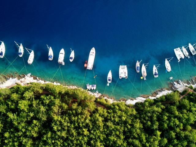 Rising tide lifts (almost) all boats