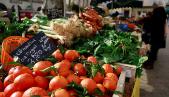 Euro Zone Consumers Cut Inflation Outlook before Iran War, ECB survey