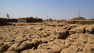 World Food Price Rise Set to Continue if Iran War Lasts, FAO