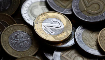 Poland's Zloty Hits 19-Month Low ahead of Rate Decision