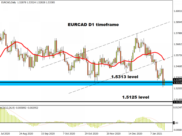 ECB plays to the script