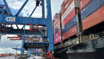 EU Trade with US Hits Record Despite Tariff Tensions, Study