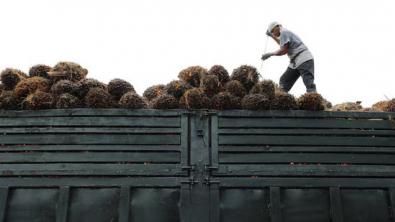 Malaysia's July Exports Jump 6.8% y/y, much Stronger than Market Forecast