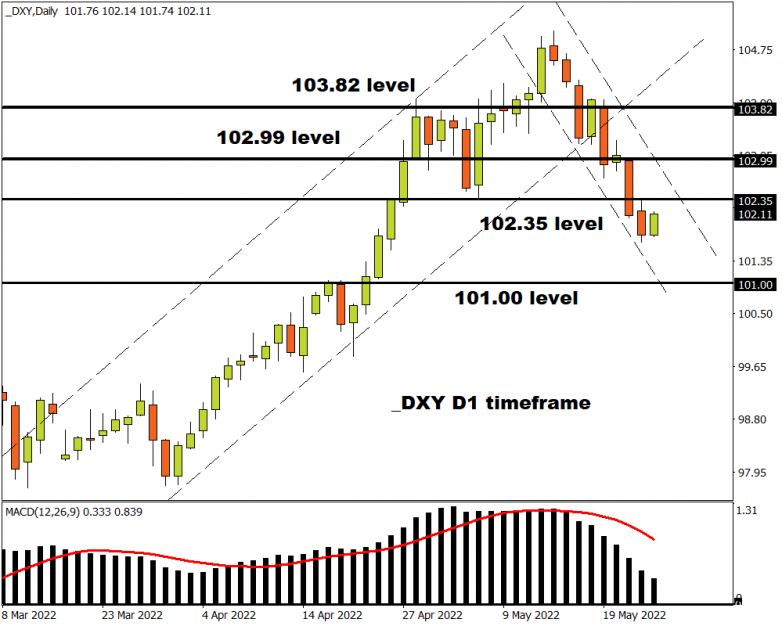 Kiwi rallies on hawkish RBNZ hike, dollar steadies