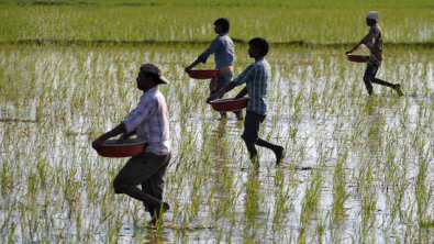 India Fertiliser Imports Set for Record $18B this Fiscal Year