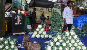 India to Revise Base Year for CPI, GDP, Industrial Output Data every 3-5 yrs, Official