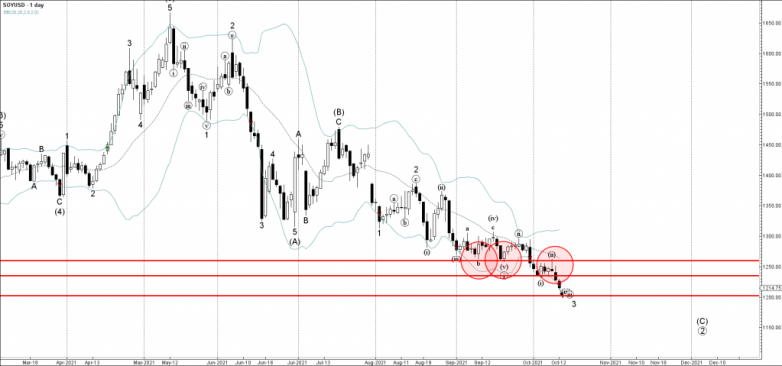 Soy Wave Analysis – 12 October, 2021