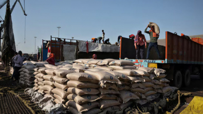 India Sugar Rally Driven by Speculation, Official Says