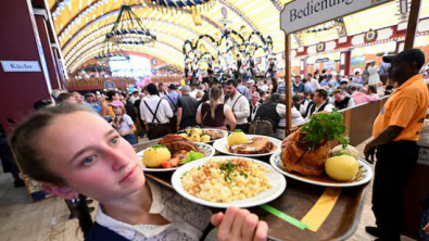 German Service Sector Growth Slows in November, PMI Shows