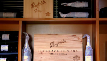 Treasury Wine Pauses Dividend after Large Writedown on US Business