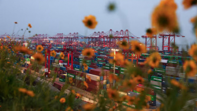 China's Export Growth Seen Accelerating in August: Poll
