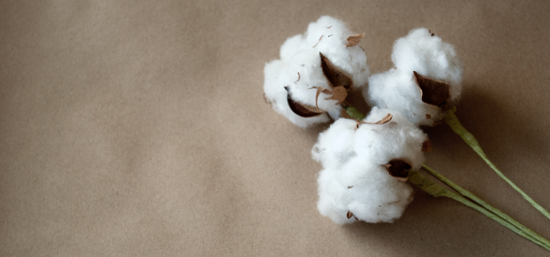 Cotton Wave Analysis – 06 April, 2019