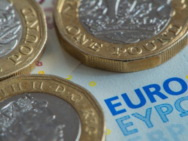 Euro catches breath as Pound takes all the heat