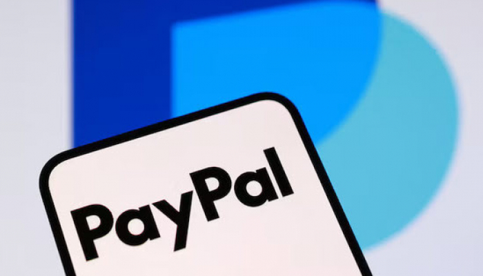 PayPal Stock Sinks as Advent-Stripe Bid Collapses