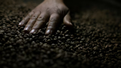 Brazil's Instant Coffee Sector Seeks Clarity on US Decision to Keep 50% Tariff