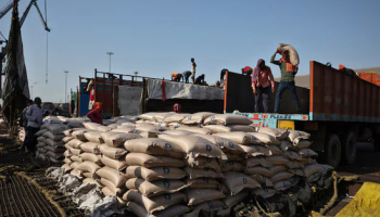 India Poised to Export Sugar in new Season due to Ample Stocks