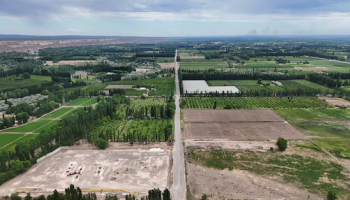 Tech Explores Argentina's Patagonia for Mega Data Centers