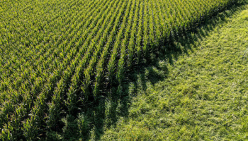 US Farmers Rush to Sell Crops as Iran War Fuels Rally