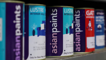 Asian Paints Names Former JPM Exec Puri as Next Chairman