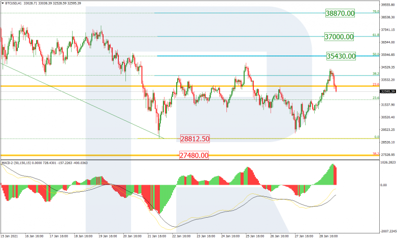 Fibonacci Retracements Analysis 29.01.2021 BITCOIN