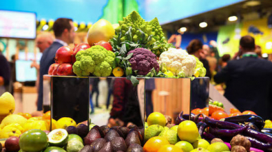 German Inflation to Stay High, Growth has Slowed, Bundesbank